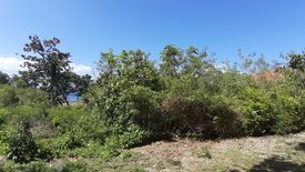 Land for sale in Bingag, Bohol