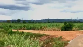 Land for sale in Huai Sai Nua, Phetchaburi