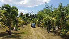 Land for sale in Balagbag, Batangas