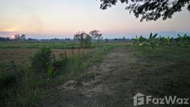 Land for sale in Buak Khang, Chiang Mai