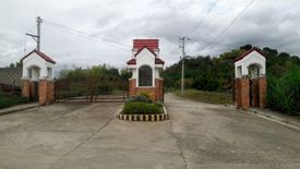 Land for sale in Guadalupe, Cebu