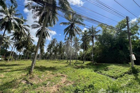 ขายที่ดิน ใน หน้าเมือง, เกาะสมุย