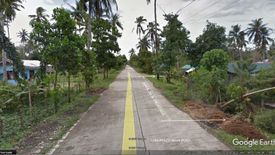 Land for sale in Dumarao, Palawan