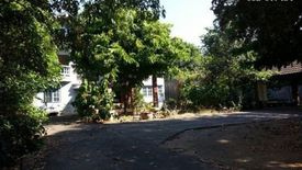 House for sale in Pa Daet, Chiang Mai