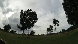 Land for sale in Tinago, Bohol