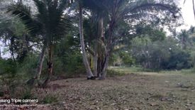 Land for sale in Tinago, Bohol