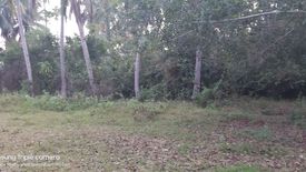 Land for sale in Tinago, Bohol