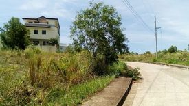 Land for sale in Dumlog, Cebu