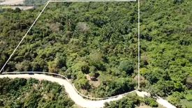 Land for sale in Teneguiban, Palawan