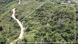 Land for sale in Teneguiban, Palawan