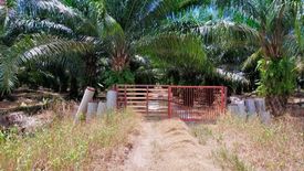 Land for sale in Jalan Raja Chulan, Selangor