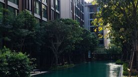 1 Bedroom Condo for rent in Vtara Sukhumvit 36, Khlong Tan, Bangkok near BTS Thong Lo