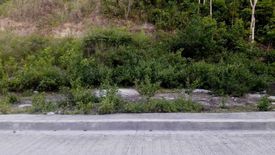 Land for sale in San Roque, Cebu