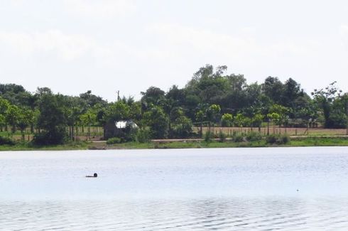 Land for sale in Tan Phuoc, Ba Ria - Vung Tau