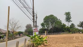 Land for sale in Nong Tong, Chiang Mai