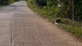 Land for sale in Tabalong, Bohol