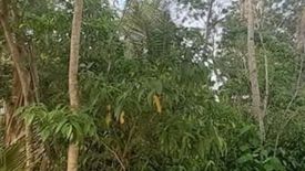 Land for sale in Tabalong, Bohol