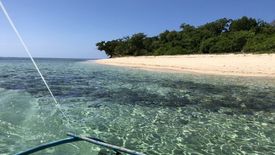 Land for sale in Maglalambay, Palawan