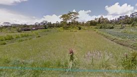 Tanah dijual dengan  di Abianbase, Bali