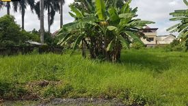 Land for sale in Talamban, Cebu