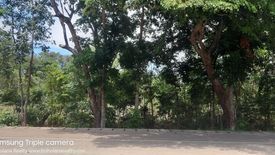 Land for sale in Tinago, Bohol