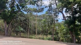 Land for sale in Tinago, Bohol