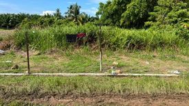 Land for sale in Tanjung Karang, Selangor