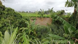 Tanah dijual dengan  di Batubulan, Bali