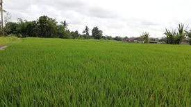 Tanah dijual dengan  di Batubulan, Bali