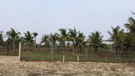 Land for sale in Chau Pha, Ba Ria - Vung Tau