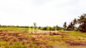 Land for sale in Argawanon, Cebu