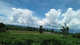 Land for sale in Sinayawan, Bukidnon