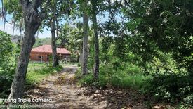Land for sale in Dao, Bohol