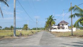 Land for sale in Poblacion Oeste, Pangasinan