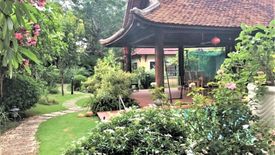 6 Bedroom Villa for rent in Binh Trung Tay, Ho Chi Minh