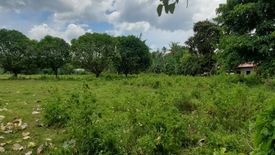 Land for sale in Simala, Cebu