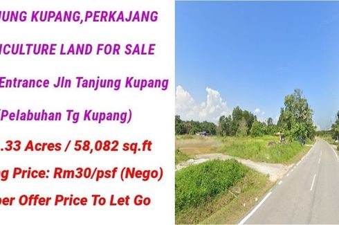 Land for sale in Tanjung Kupang, Johor