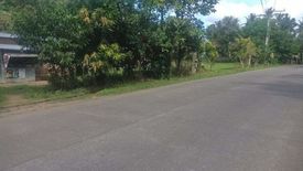 Land for sale in Suba, Laguna