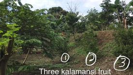 Land for sale in Batong Malake, Laguna