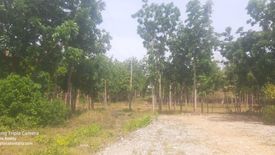 Land for sale in Danao, Bohol