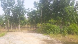 Land for sale in Danao, Bohol