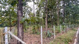 Land for sale in On Klang, Chiang Mai