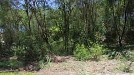 Land for sale in Jagobiao, Cebu