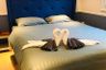 1 Bedroom Condo for rent in Seven Seas Cote d'Azur, Na Jomtien, Chonburi