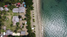 17 Bedroom Land for sale in Actin, Negros Oriental