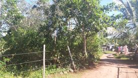 Land for sale in Danao, Bohol