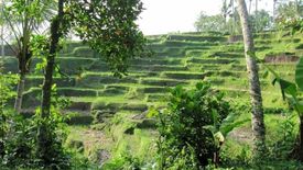 Tanah dijual dengan  di Batubulan, Bali
