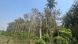 Land for sale in Nong Phlap, Prachuap Khiri Khan