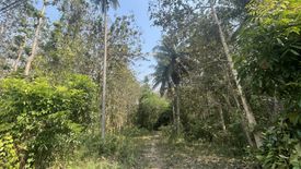 Land for sale in Nong Phlap, Prachuap Khiri Khan
