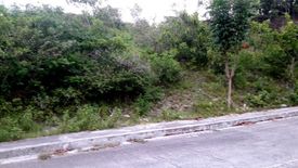 Land for sale in San Roque, Cebu